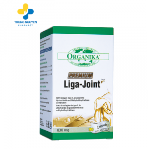 Liga-Joint-01