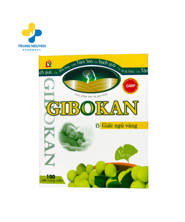 Hoạt huyết dưỡng não GIBOKAN