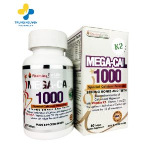 mega-cal-1000-01